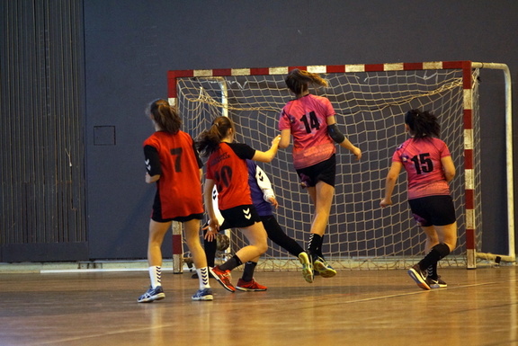18F Toulouse handball 25032017 002