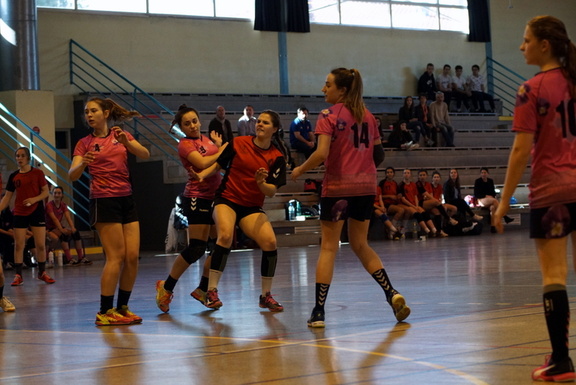 18F Toulouse handball 25032017 013